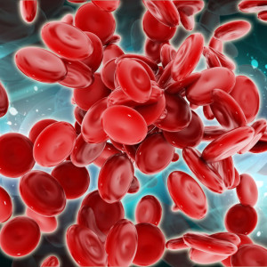 Celule-stem-hematopoietice
